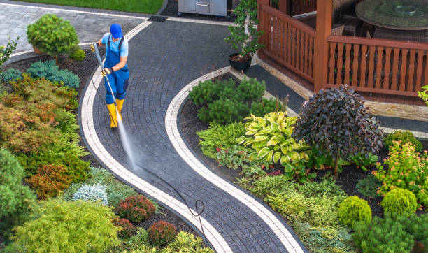 Best Deck Cleaning Services  in Hinckley, MN
